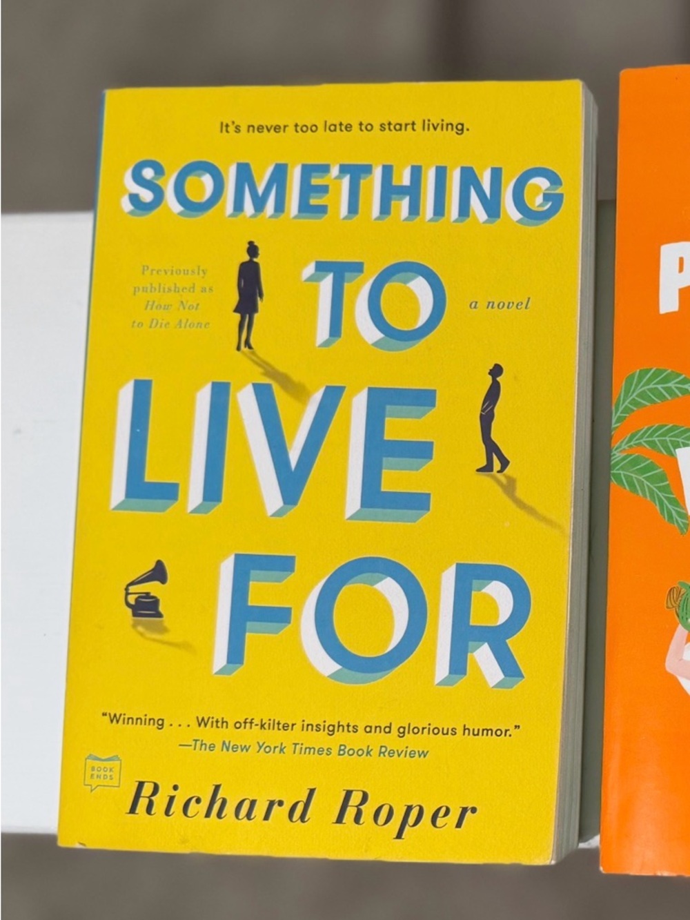 Something to Live For by Richard Roper- Paperback Novel